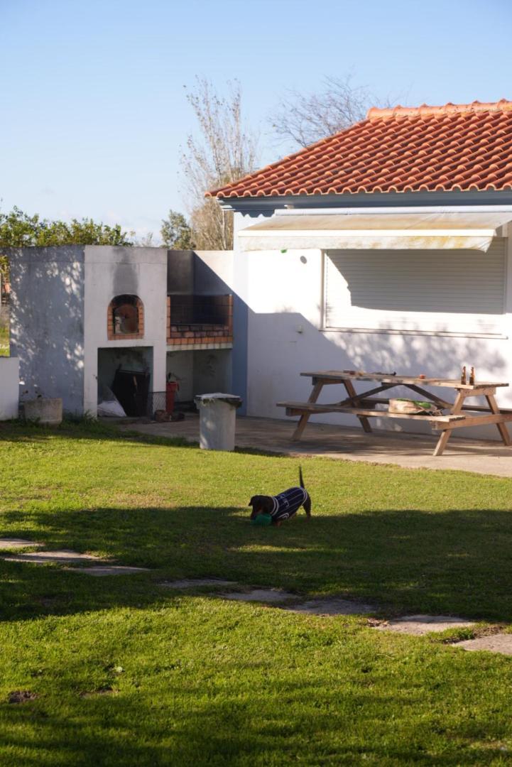 Na Quinta- Alojamento Rural Com Piscina De Agua Salgada Poceirao Kültér fotó